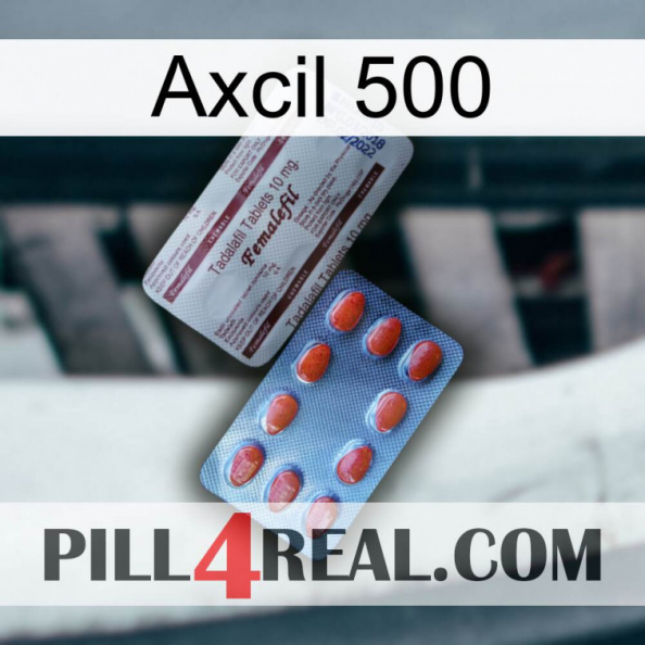 Axcil 500 36.jpg